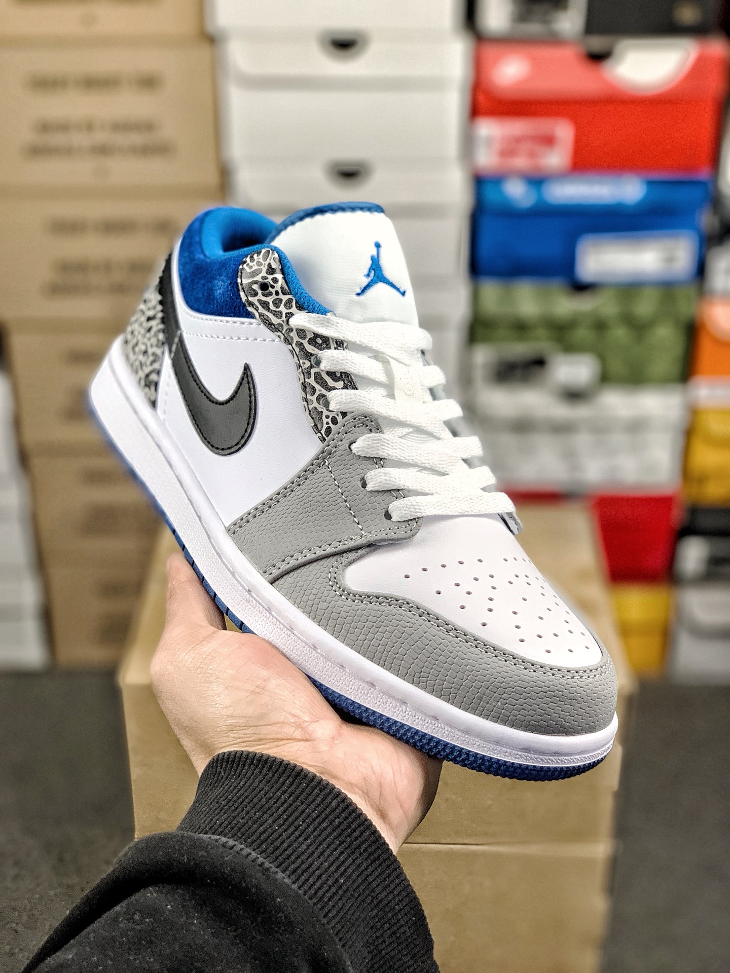 Nike Jordan shoe